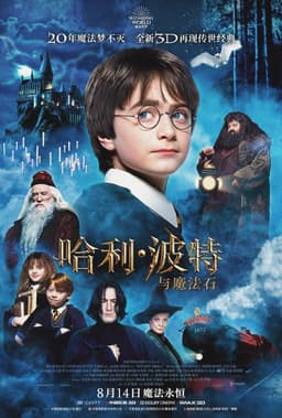 找出你在Harry Potter and the Sorcerer's Stone中的相似角色 - 海报