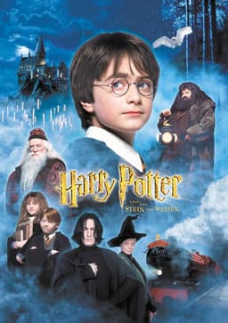 Finde heraus, welcher Harry Potter und der Stein der Weisen-Charakter du bist - Poster