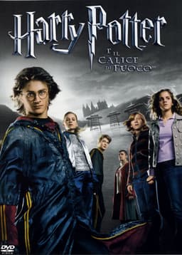 Scopri a quale personaggio di Harry Potter e il calice di fuoco assomigli - poster