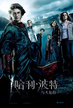 找出你在Harry Potter and the Goblet of Fire中的相似角色 - 海报