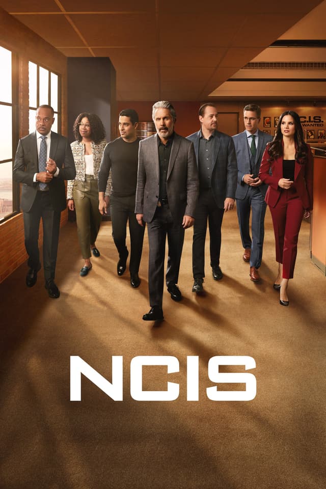 Find out your look alike doppelganger in NCIS - poster