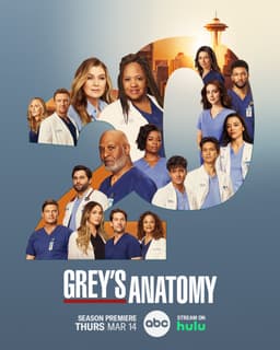 Descubre a qué personaje de Anatomía de Grey te pareces - póster