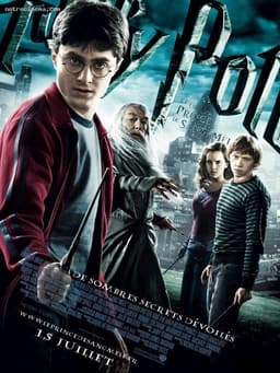 Découvrez quel personnage de Harry Potter et le Prince de sang-mêlé vous êtes - affiche