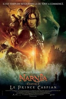 Découvrez quel personnage de Le Monde de Narnia : Chapitre 2 - Le Prince Caspian vous êtes - affiche