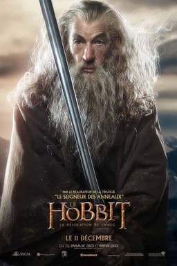 Découvrez quel personnage de Le Hobbit : La Désolation de Smaug vous êtes - affiche