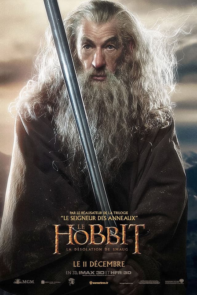 Le Hobbit : La Désolation de Smaug